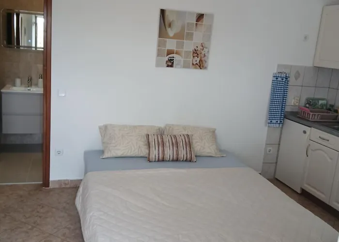 Marinela Πόρετς