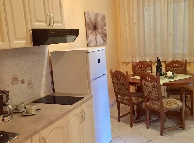 Marinela Πόρετς