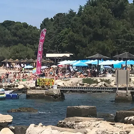 Marinela *